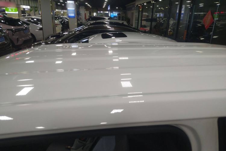 Used  Panda 2023 Panda Mini 200km Endurance Bear
