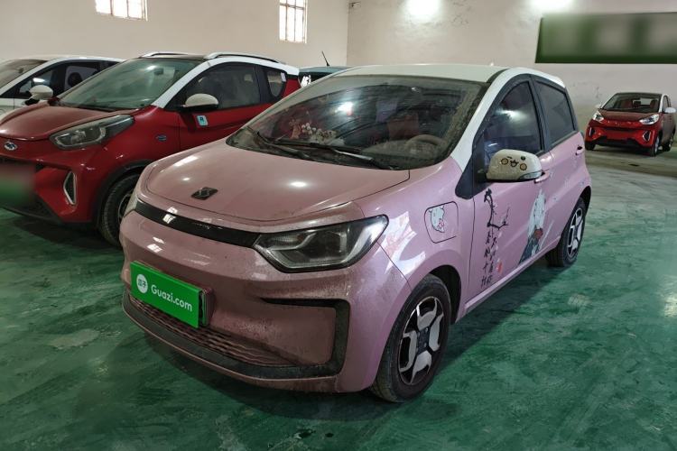 Used SOL E10X 2022 Flower Fairy Style Baby's Breath