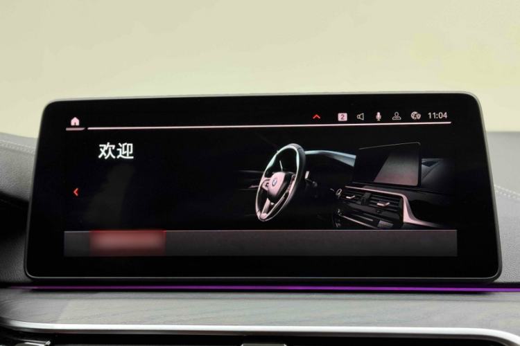 Used BMW 5 Series 2023 530Li Leading Model M Sport Package
