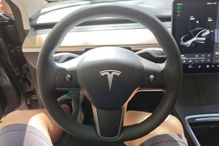 Used Tesla Model 3 2021 Revised Performance Version with All-Wheel Drive 3D1
