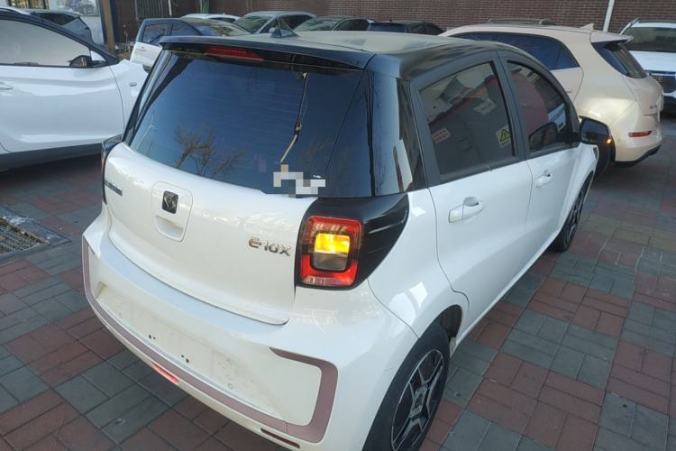 Used SOL E10X 2022 Flower Fairy Design Four-Leaf Clover