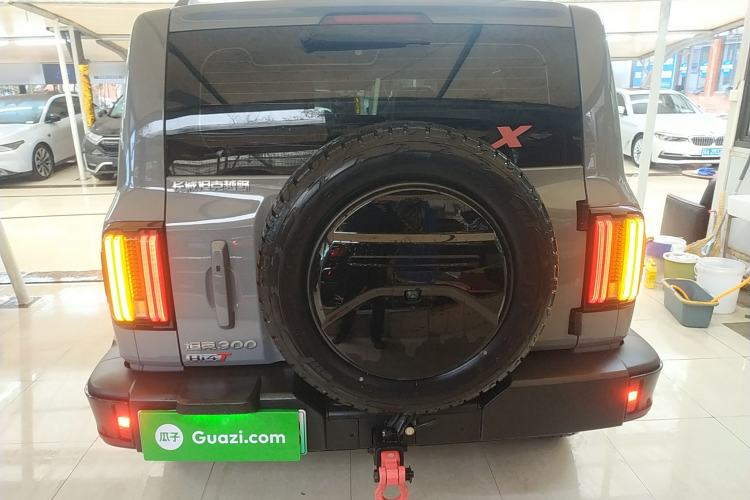 Used Tank 300 New Energy 2024 Hi4-T
