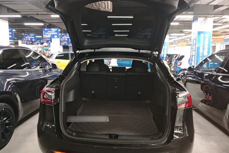 Used Tesla Model Y 2021 Long-Range All-Wheel-Drive Version 3D7
