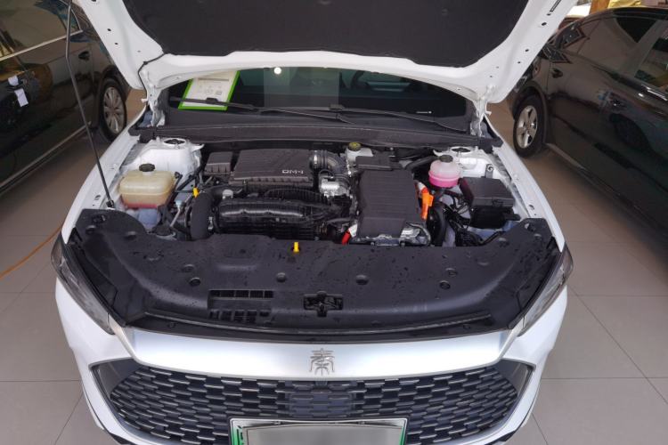 Used BYD Qin PLUS 2024 HONOR Edition DM-i 55KM Leading Model
