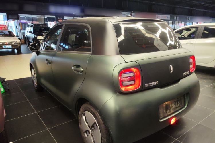 Used ORA Black Cat 2022 Updated Version 301 km Cute Pet Edition Lithium Iron Phosphate