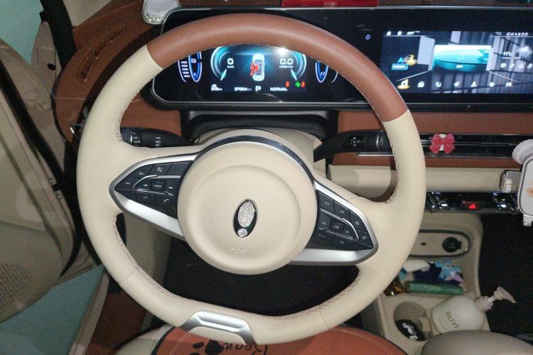 Used ORA Good Cat 2023 401 km Standard Range Comfort Version Lithium Iron Phosphate