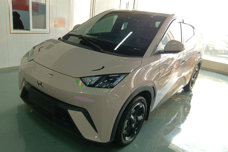 Used BYD Seagull 2023 Flying Edition