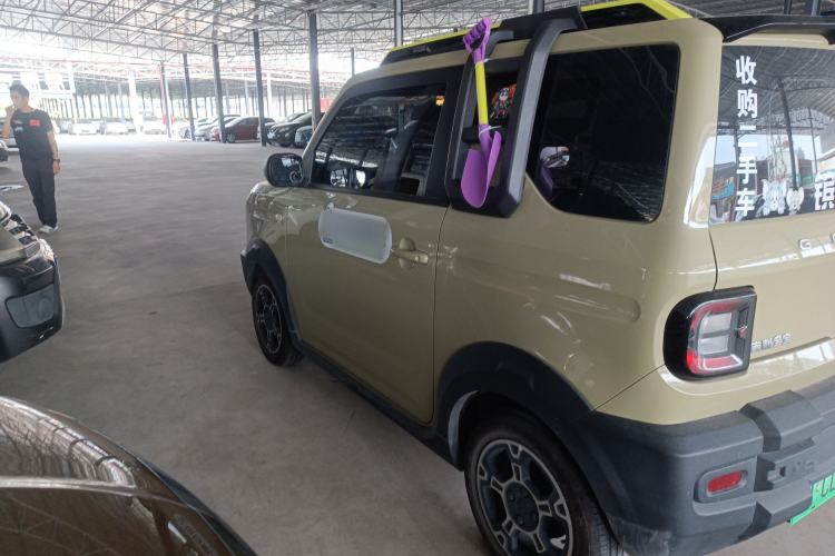 Used  Panda 2024 200km Panda Rider
