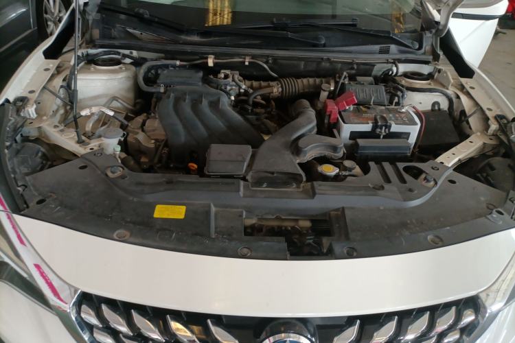 Used Venucia D60 2019 100 000 Glory 1.6L Entry Manual ChenShang Edition China VI