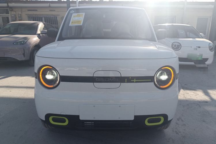 Used  Panda 2025 210 km – Yuanqi Bear
