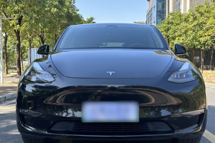 Used Tesla Model Y 2021 Standard Range Rear-Wheel Drive Version
