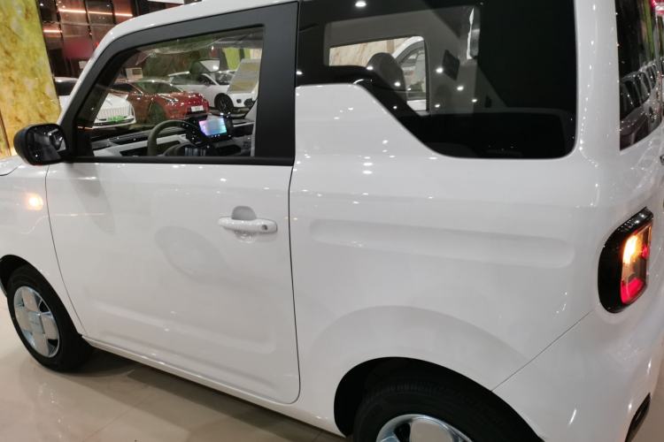 Used  Panda 2024 Panda Mini 200km Endurance Bear
