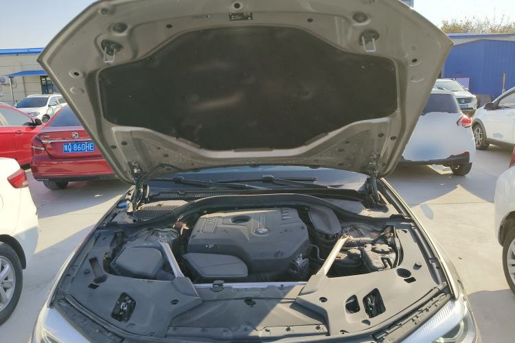 Used BMW 5 Series 2020 525Li Luxury Package
