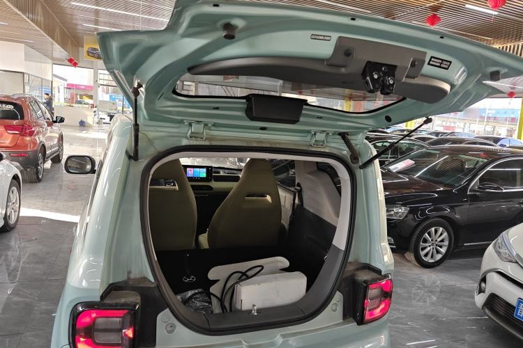 Used  Panda 2024 Panda Mini 200km Endurance Bear
