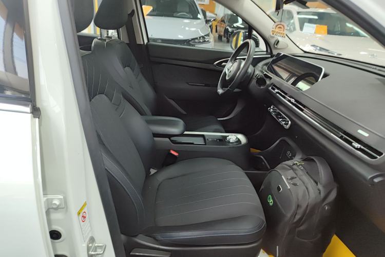 Used ORA Good Cat 2021 400km Standard Range Athena Edition Lithium-Ion Battery
