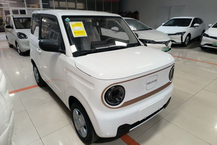 Used  Panda 2024 Panda Mini 200km Endurance Bear
