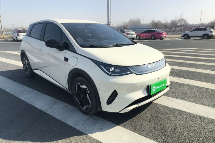 Used BYD Dolphin 2025 Smart Drive Version 420 km Freedom Edition
