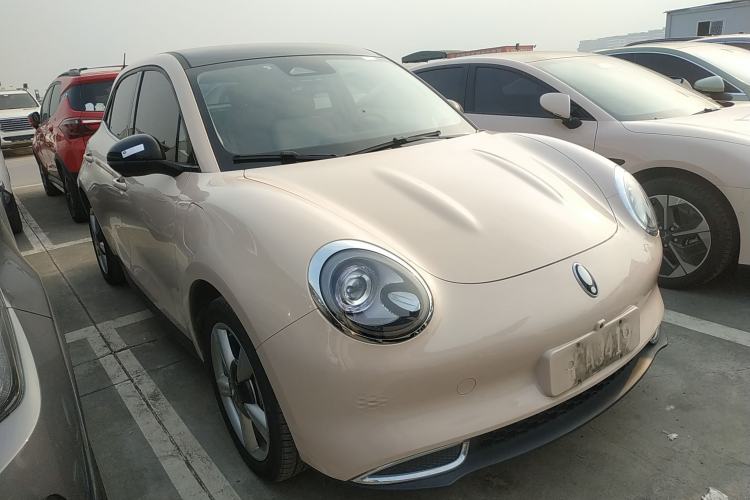 Used ORA Good Cat 2023 401 km Standard Range Luxury Version Lithium Iron Phosphate