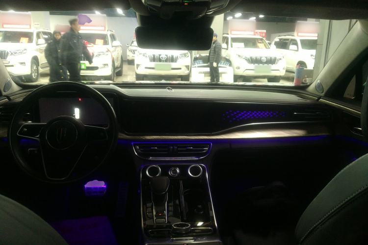 Used Hongqi H9 2020 3.0T Smart Connect Flagship Four-Seat Version