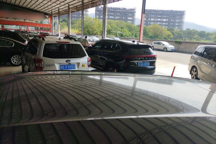 Used BYD Seagull 2024 Honor Edition 305km Freedom Version
