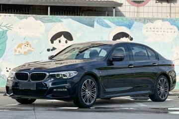 Used BMW 5 Series 2018 530Li Leading Model M Sport Package