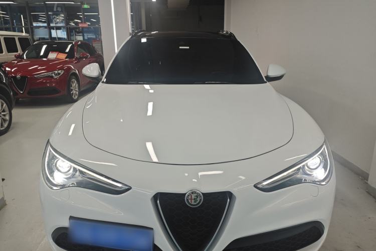 Used Alfa Romeo Stelvio 2021 2.0T 280HP Luxury Edition