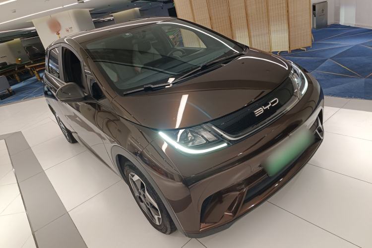 Used BYD Dolphin 2021 405 km Free Version
