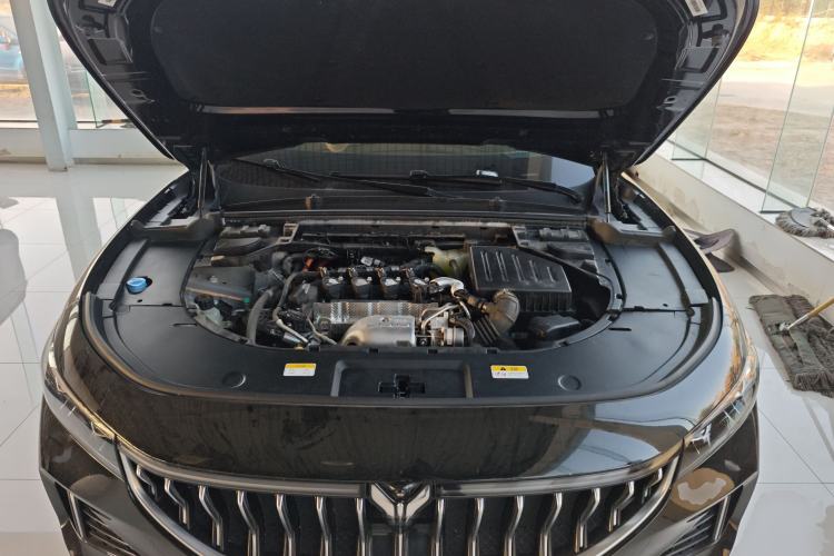 Used VOYAH FREE 2021 Four-Wheel Drive Standard Range-Extended Version
