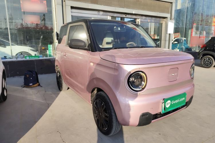 Used  Panda 2023 Panda Mini 200km Dynamic Bear