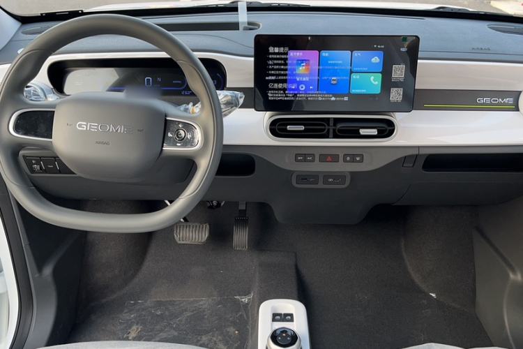 Used  Panda 2025 210 km – Yuanqi Bear
