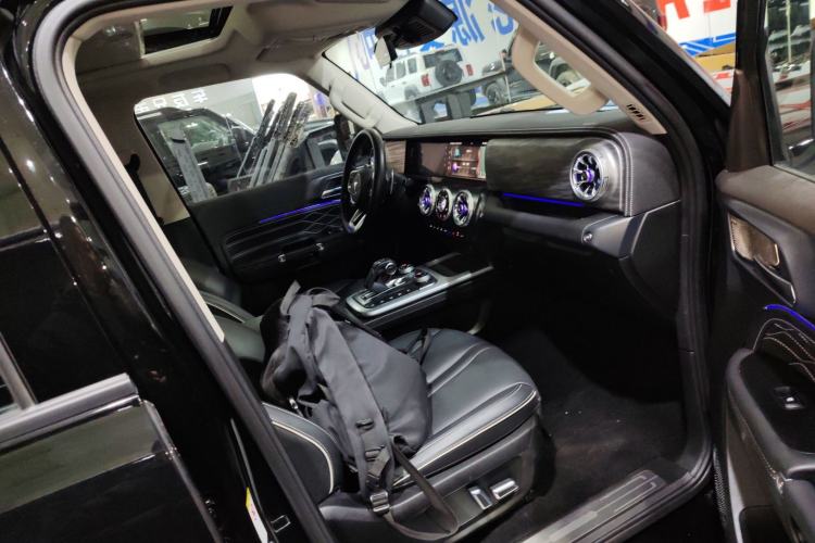 Used Tank 300 2024 2.0T Conqueror