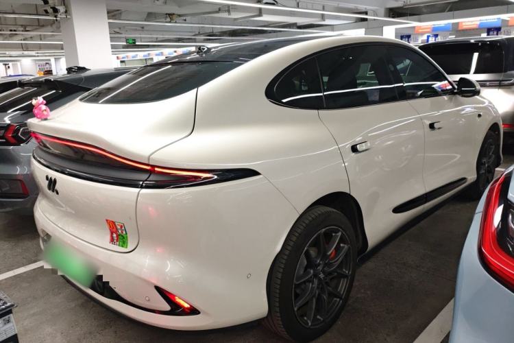 Used  LS6 2023 Max Standard Edition
