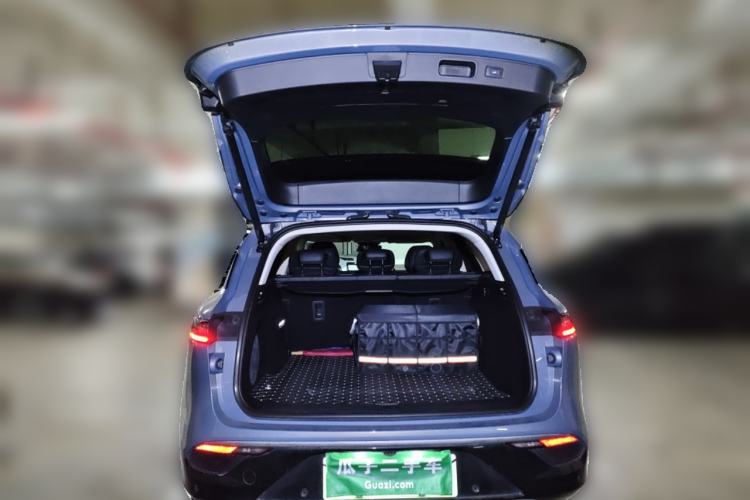 Used VOYAH FREE 2021 Four-Wheel Drive Standard Range-Extended Exclusive Luxury Package
