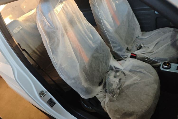 Used  Panda 2024 Panda Mini 200km Endurance Bear