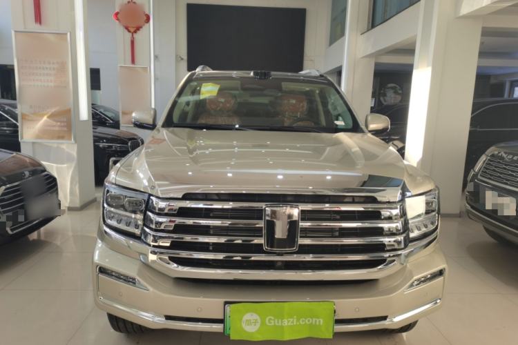 Used Tank 500 New Energy 