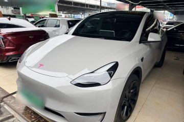 Used Tesla Model Y 2022 Long-Range All-Wheel-Drive Version