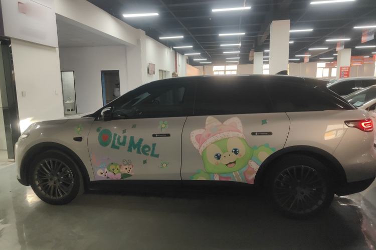 Used Leapmotor C11 2023 Pure Electric 500 Comfort Edition