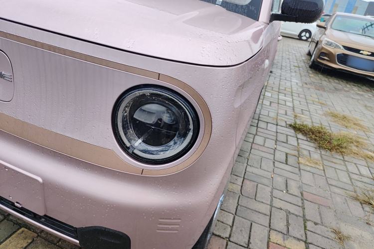 Used  Panda 2024 Panda Mini 200km Endurance Bear