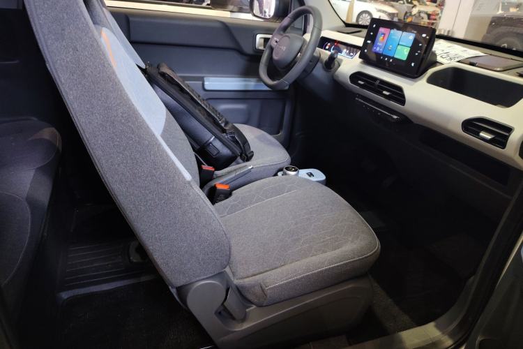 Used  Panda 2024 Panda Mini 200km Endurance Bear
