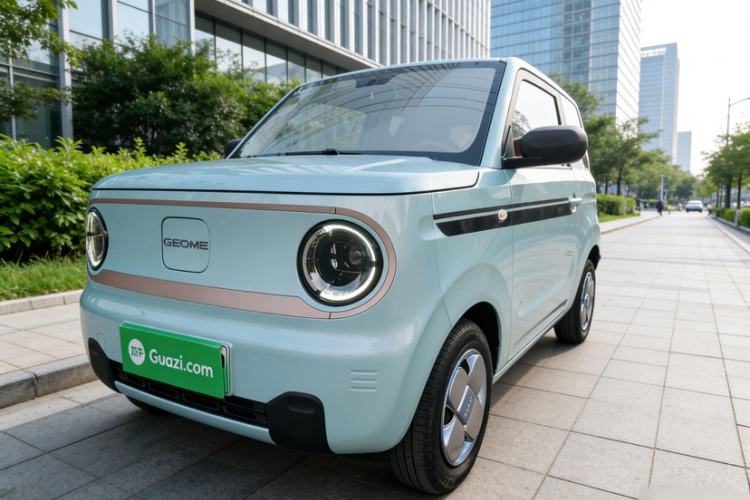 Used  Panda 2024 Panda Mini 200km Endurance Bear