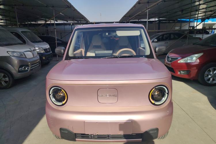 Used  Panda 2023 Panda Mini 200km Endurance Bear