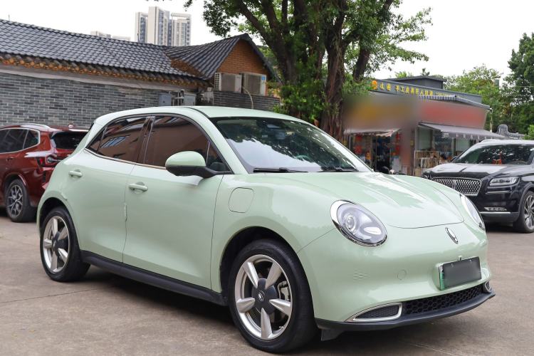 Used ORA Good Cat 2023 401 km Standard Range Luxury Version Lithium Iron Phosphate
