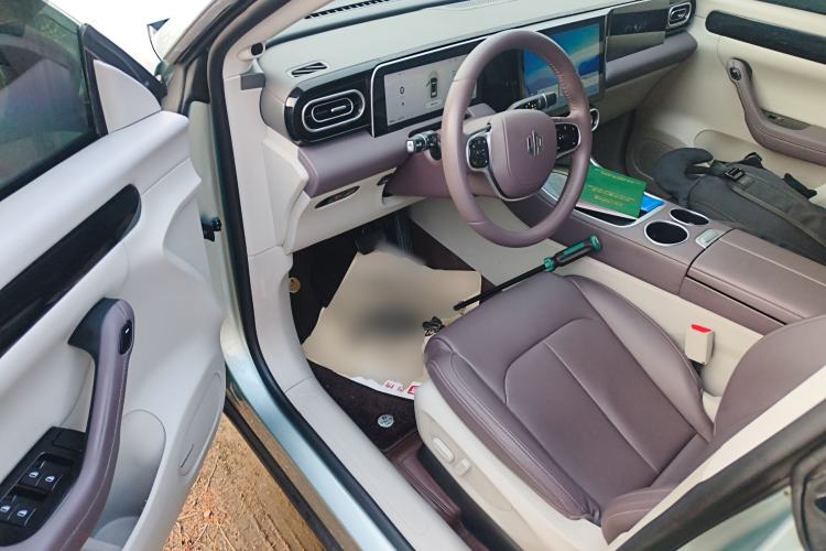 Used Leapmotor C11 2023 Pure Electric 500 Comfort Edition
