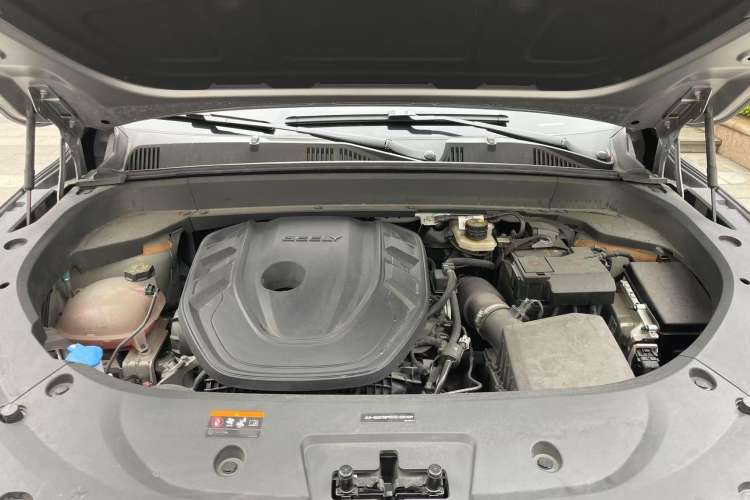 Used Geely Auto Monjaro L 2024 2.0TD High-Power Automatic Two-Wheel Drive Skyline Edition
