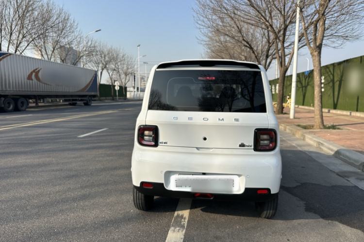 Used  Panda 2025 210 km – Yuanqi Bear