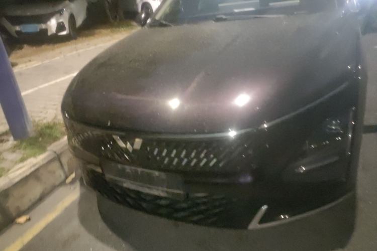 Used Wuling Xingguang 2023 150 Advanced Edition
