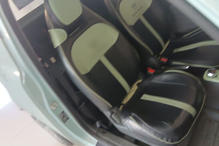 Used  Panda 2023 Panda Mini 200km Endurance Bear
