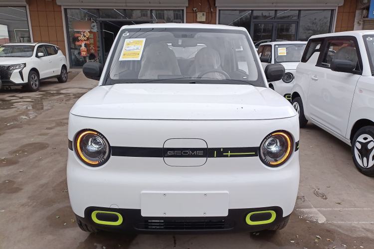 Used  Panda 2025 210 km – Yuanqi Bear