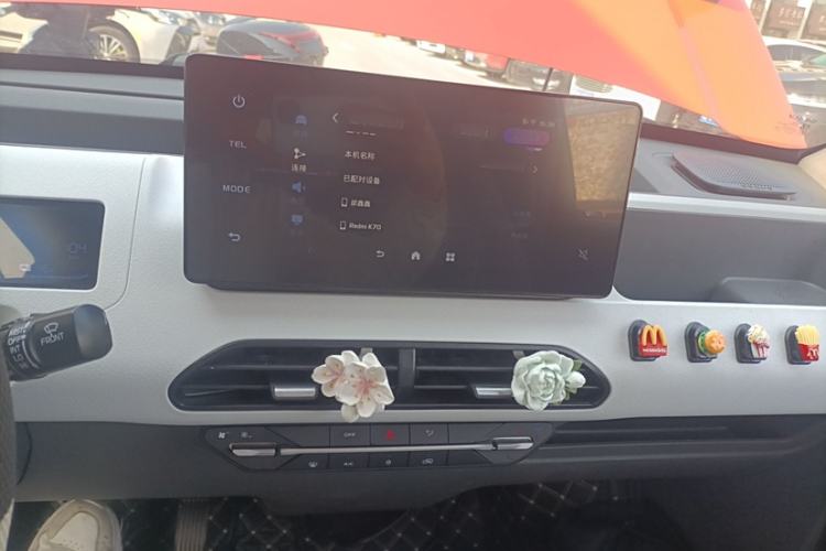 Used  Panda 2024 200km Panda Rider
