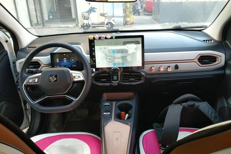 Used SOL E10X 2022 Flower Fairy Design Sunflower
